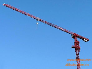 阿勒泰tc5610型建筑塔吊參數(shù)及價格,阿勒泰tc5610型建筑塔吊參數(shù)及價格生產(chǎn)廠家,阿勒泰tc5610型建筑塔吊參數(shù)及價格價格