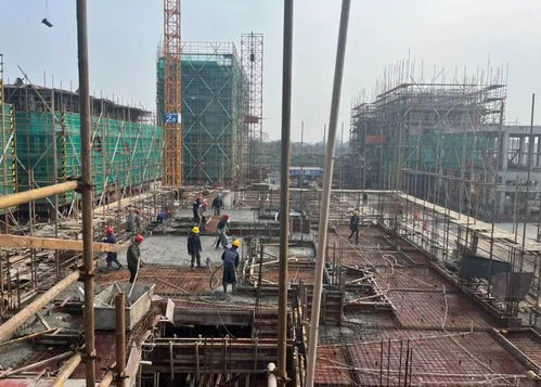 關(guān)注 文興小區(qū)一期建設(shè)進(jìn)度如何