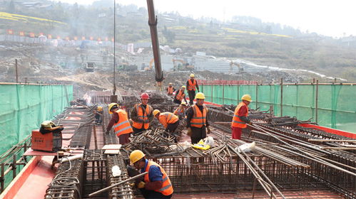 進度條 刷新 達州市通川區(qū)魏興污水處理工程 二期 建設(shè)項目加快推進