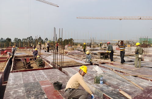 廣西建工集團(tuán)二建公司 堅守崗位不打烊 重點項目施工忙